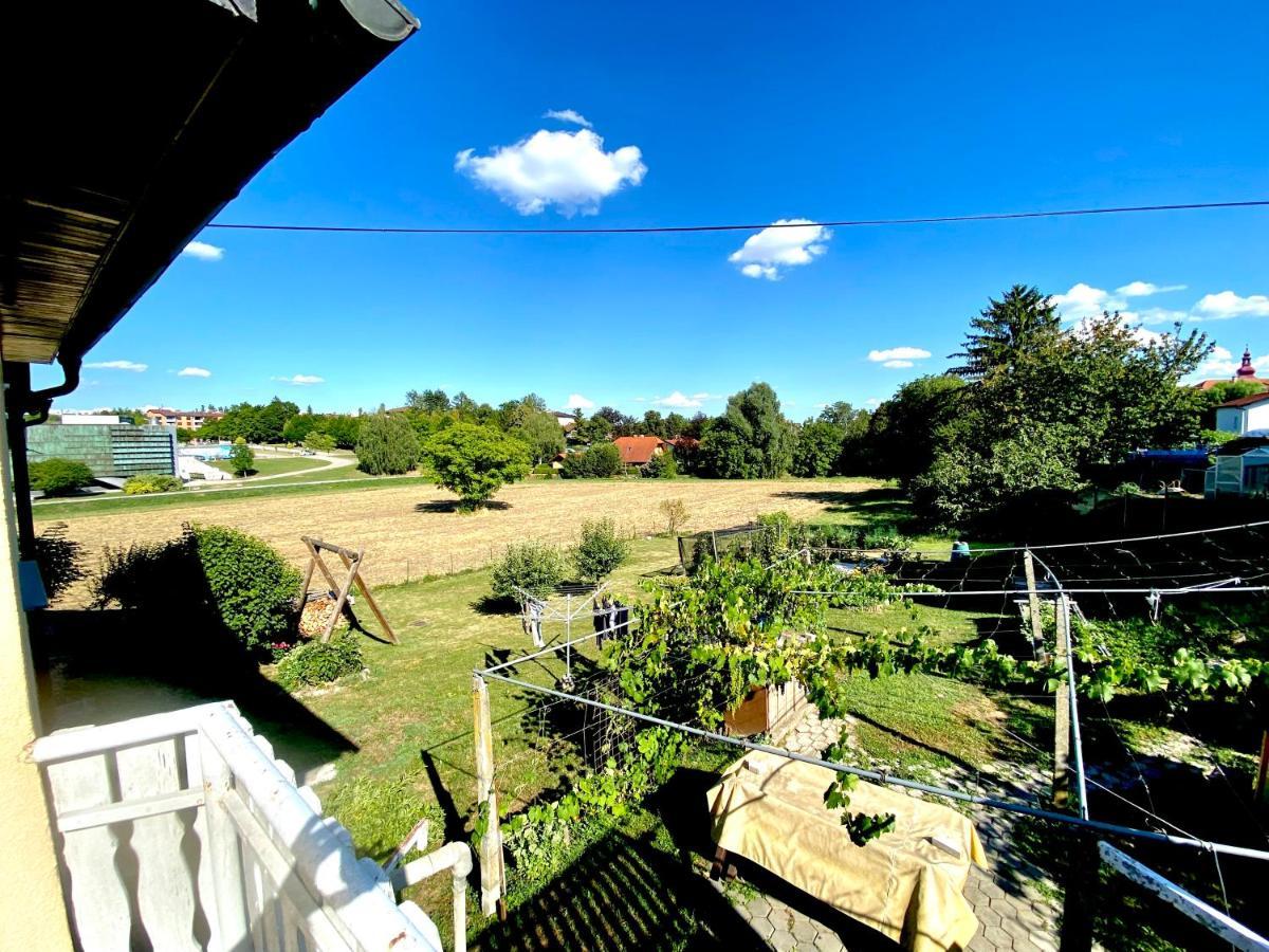 Apartment Sawetz - Ptuj Eksteriør bilde